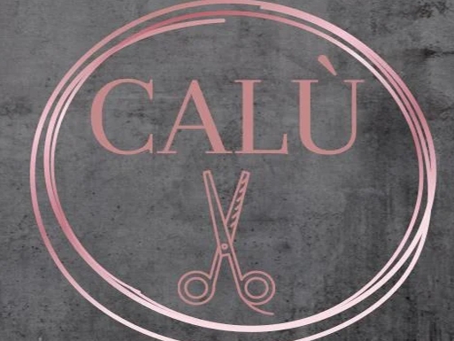 Calu9